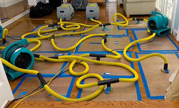 Professional Water Damage Repair technician working in Farmington, IL